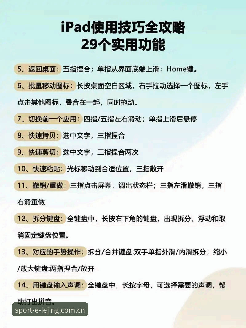 新手必看！乐竞平台官网入口实用指南与操作技巧